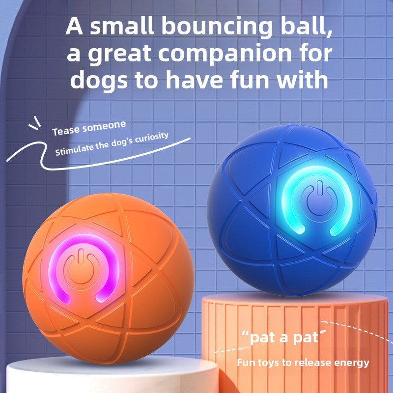Dog toys and enrichment